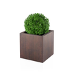 Kwadratowa donica Pixel Pot koloru corten effect o wysokości 50 cm w aranżacji z rośliną na taras