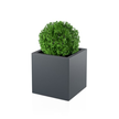 Kwadratowa donica Pixel Pot koloru antracytowego o wysokości 50 cm w aranżacji z rośliną na taras