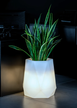 Designerska donica podświetlana Flavi wysokości 54 cm z światłem o zimnej barwie w aranżacji z rośliną w salonie