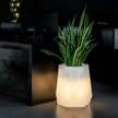 Designerska donica podświetlana Flavi wysokości 54 cm z światłem o ciepłej barwie w aranżacji z rośliną w salonie